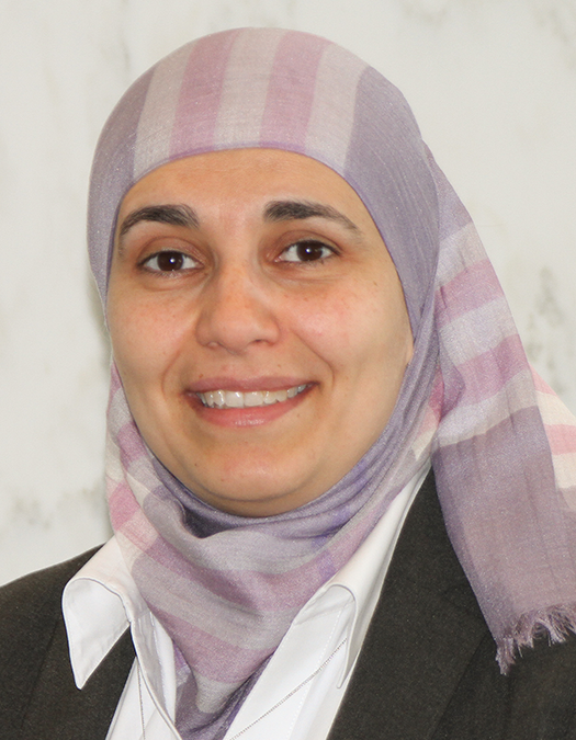 Dr. Sherine El-Toukhy